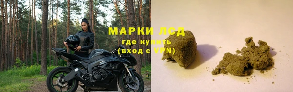 spice Абинск
