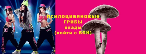 круглые Абаза