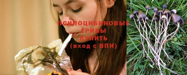 spice Абинск