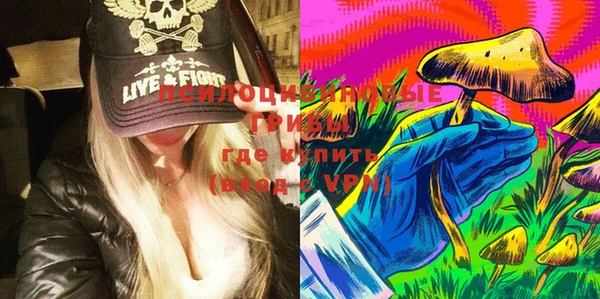 прущие крисы Алексин