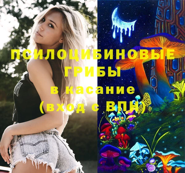 круглые Абаза