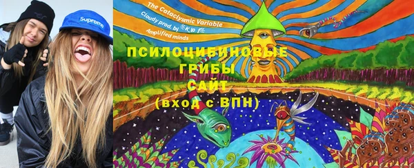 круглые Абаза